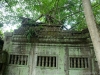 DSC08354_DxO