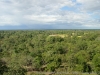 DSC08441_DxO