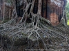 DSC08475_DxO