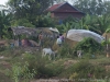 DSC08504_1