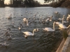 IMG_2370_DxO
