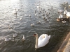 IMG_2371_DxO
