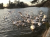 IMG_2373_DxO