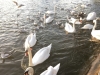 IMG_2374_DxO