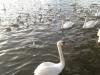 IMG_2378_DxO