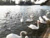 IMG_2379_DxO