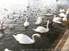 IMG_2380_DxO