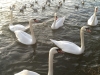 IMG_2387_DxO