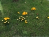 IMG_2492_DxO1.JPG