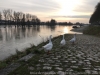 IMG_2611_DxO.JPG
