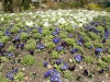 DSC09658_DxO.jpg