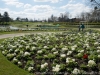 DSC09668_DxO.jpg
