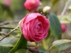 DSC09674_DxO.jpg