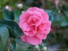 DSC09675_DxO.jpg