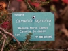 DSC09677_DxO.jpg