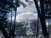 DSC09688_DxO.jpg