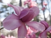 DSC09691_DxO.jpg