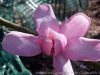 DSC09695_DxO.jpg