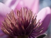 DSC09701_DxO.jpg
