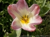 DSC09725_DxO.jpg