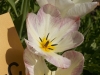 DSC09727_DxO.jpg