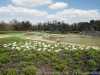 DSC09741_DxO.jpg