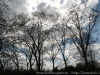DSC09747_DxO.jpg