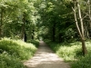 DSC09751_DxO.jpg