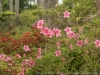 DSC09851_DxO