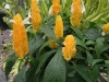 IMG_3302_DxO