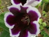 IMG_3310_DxO