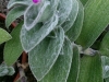 IMG_3313_DxO