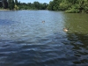 IMG_3329_DxO