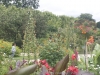 DSC09910