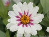 DSC09955_DxO