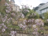 DSC09970