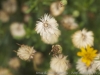 DSC00006