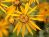 DSC00018_DxO
