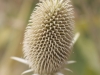 DSC00042