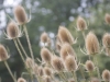 DSC00044
