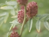 DSC00048