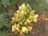 DSC00054
