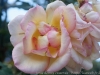 DSC00062_DxO