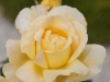 DSC00087_DxO