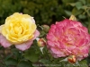 DSC00092_DxO