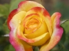 DSC00093_DxO