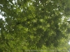 DSC00137