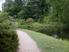 DSC00151_DxO