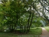 DSC00165_DxO
