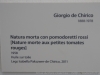DSC00214_DxO